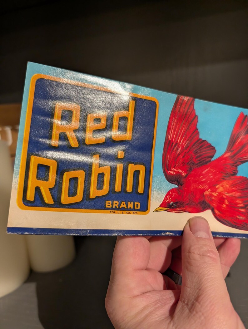 Original 1940's Red Robin Produce Crate Label - Old & Original - LR ...