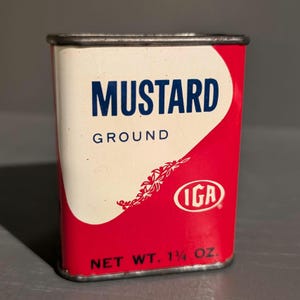 1950s Old & Original IGA Store Seed Spice Seasoning Metal Spice Tin - Chicago Illinois