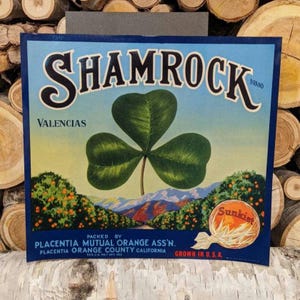 1940er Jahre Sunkist Shamrock Valentins Orangen Fruchtetikett - Alt & Original - Orange County, Kalifornien