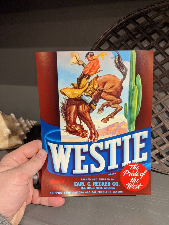 Crates For Westies at Joann Lanier blog