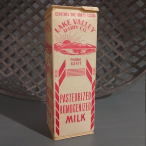 NSA Années 1950 Lake Valley Dairy Co. Carton ou récipient de lait ciré Hubbell, Michigan