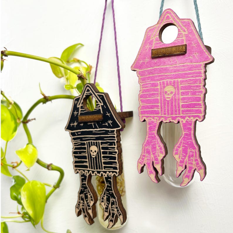 May include: Two wooden house-shaped hanging planters. One is black with a skull and crossbones, the other is pink. Both have bird feet as legs and hold glass tubes. A green plant is visible in the background.