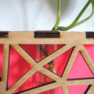 Triangle plant propagation station hot coral handpainted wood image 2