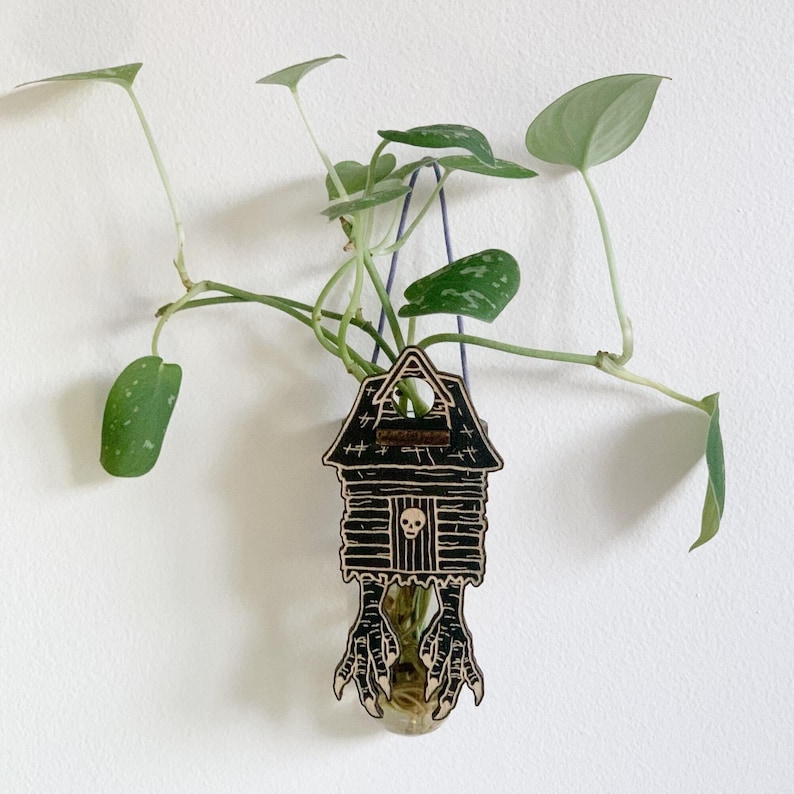 May include: A black and tan wooden house-shaped plant holder with a skull and claw feet design. The plant holder is hanging from a purple string, with a green plant with speckled leaves growing from it. The text on the house reads "HAUNTED".