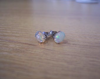Natural Oval Opal Studd Earrings in 14kt White Gold
