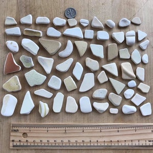 Może przedstawiać: Kolekcja ponad 50 małych, białych płytek ceramicznych w różnych kształtach i rozmiarach. Płytki są ułożone na drewnianej powierzchni z linijką do skalowania. Płytki są wszystkie białe, niektóre mają lekko beżowy lub kremowy kolor.