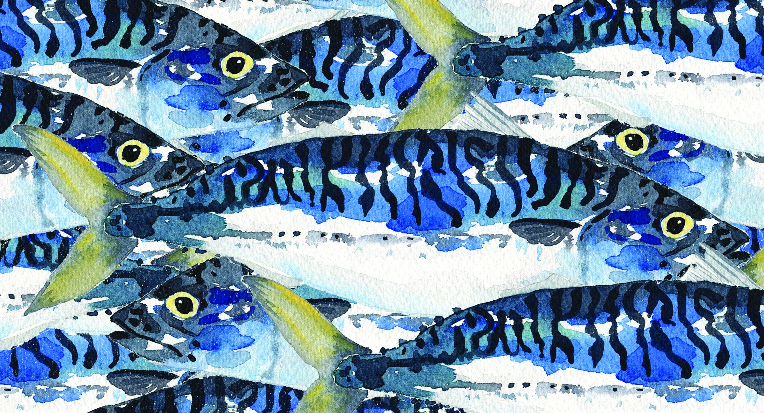 The Rusty Mackerel A4 Print Prints Art & Collectibles
