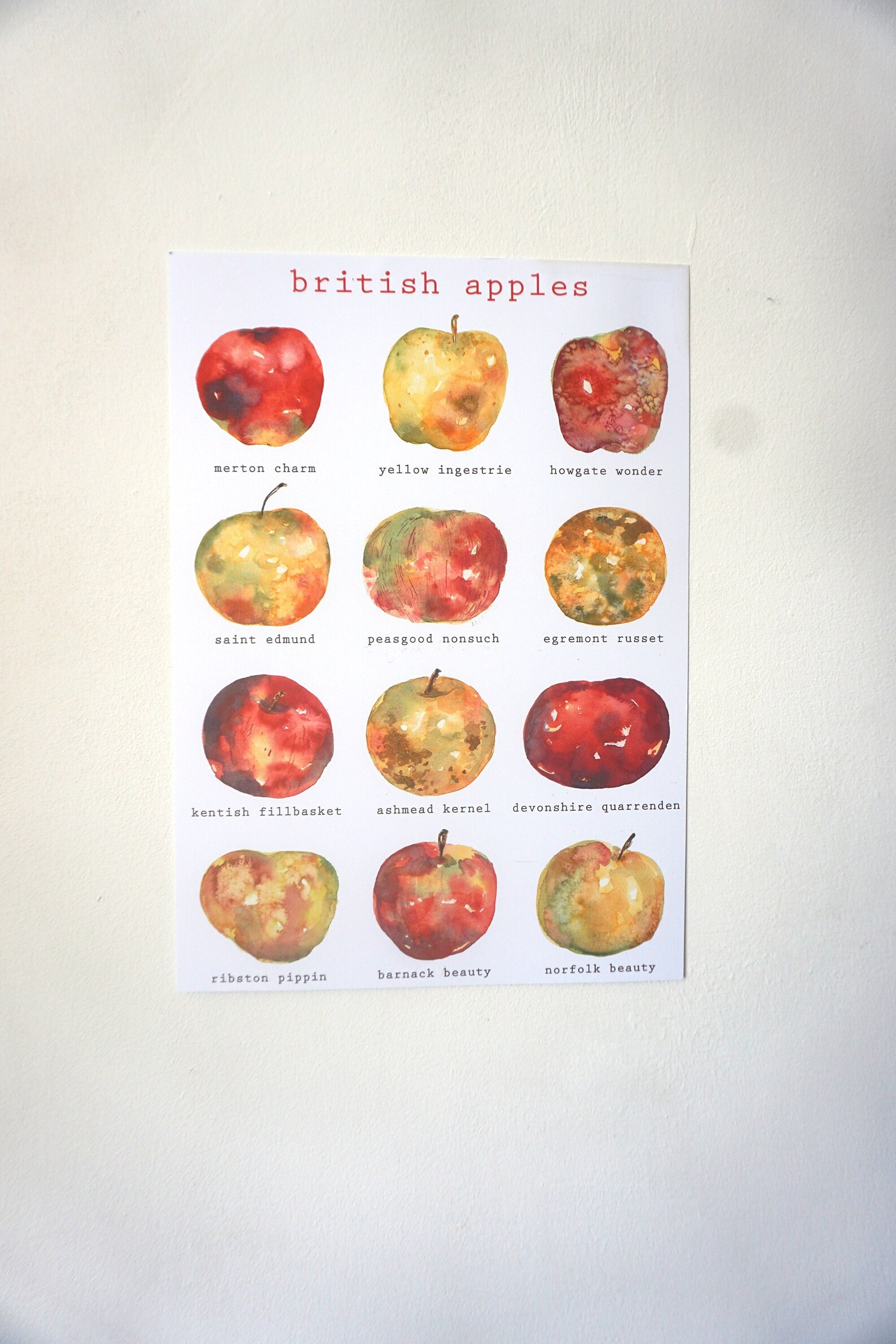 British Apple Varieties Print/poster // Kitchen Art // Love Etsy UK