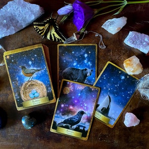 Animal Nature Oracle—Eco Heart Oracle ~ Messages from the Earth and the Natural World - Free Shipping: USA & Canada