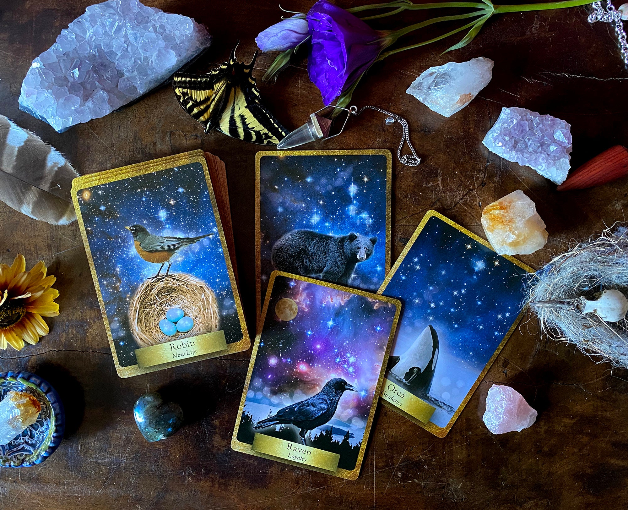 Animal Nature Oracle—Eco Heart Oracle ~ Messages from the Earth and t…