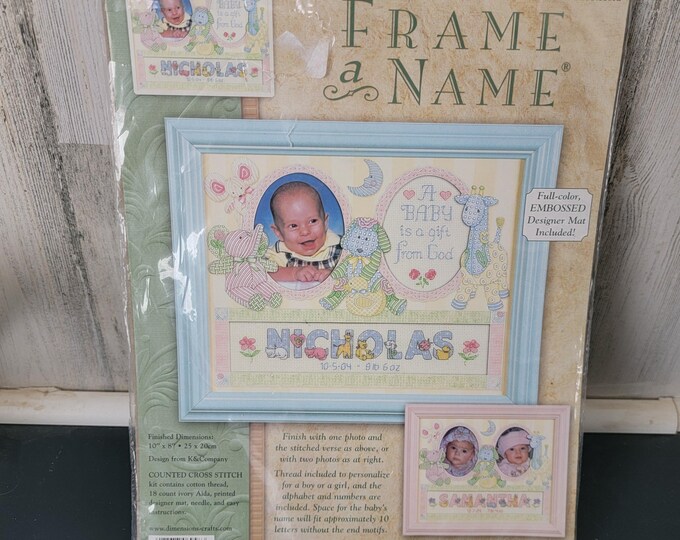 Dimensions Frame A Name Counted Cross Stitch Kit