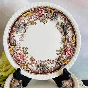 Johnson Bros Brown Transferware Multi Color Bread Butter Plates Set of 8 Devonshire Design Made In England Cottage Kitchen