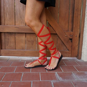 May include: Red leather sandals with straps that wrap up the legs. The sandals have a simple black sole.