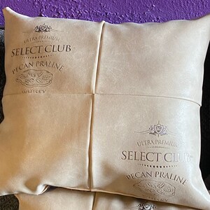 Custom Pillows, Custom Embroidered Pillows, Embroidered Logo Pillows, Custom Pillows with piping