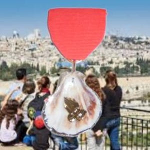 May include: A religious medal with a red ribbon. The medal features a shell design with a gold-colored hand symbol. The background shows a city with a blue sky.