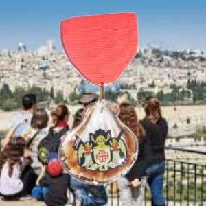 Christian Holy Land Sepulchre Pilgrims Shell Cross Medal Badge Pin Case Jesus Sea Galilee Relic Artifact Judea Levant Souvenir Gift Church