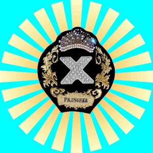 May include: A black and gold crest with a large silver X adorned with rhinestones. The crest is topped with a crown of pearls and the word "Princess" is written on a banner below the X.