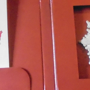 May include: A white and gold star-shaped medal with a black eagle in the center. The medal is surrounded by a white ribbon with the text "ORDER OF THE BLACK EAGLE" and "PRUSSIA".