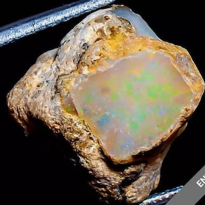 May include: A rough, brown, and white opal gemstone with a translucent, iridescent center. The opal has a green and blue sheen.