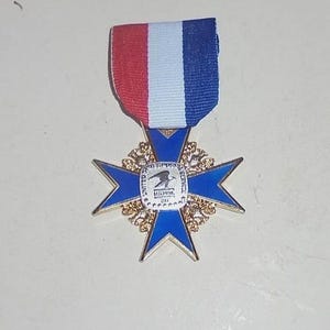 Rare US Mail USPS US Post Office Postal Patriot Service Award City Badge Medal Pin Historic Memento City Town