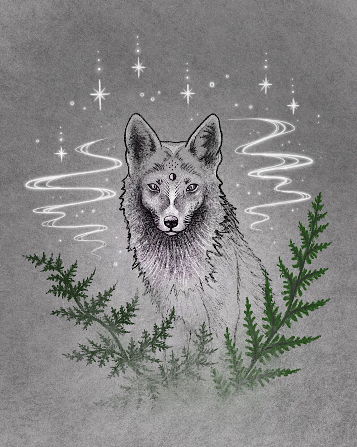 Arctic Fox Print | Etsy