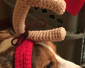 max the dog antler headband