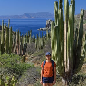 devil's tongue cactus Devil's Tongue Cactus – Lovehopegrow