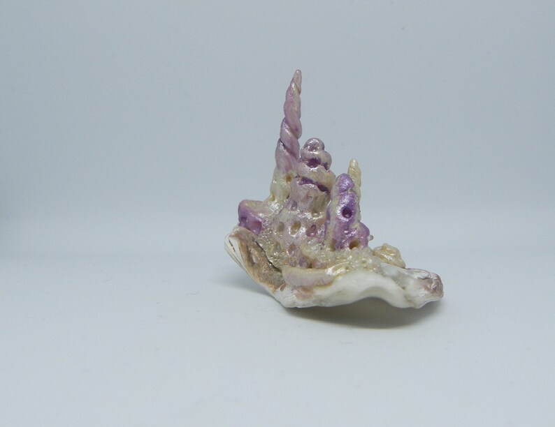 Puede incluir: Una peque&ntilde;a concha blanca con una espiral morada y blanca en la parte superior. La concha es un objeto natural y tiene una textura rugosa.