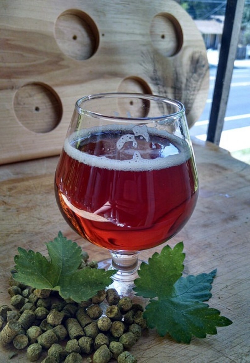 Nelson's Red Ale Beer Recipe 1 Gallon Hop Hero Homebrew Etsy