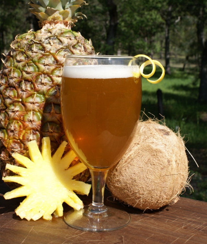 Pina Colada Pale Beer Recipe 1 Gallon Hop Hero Homebrew Etsy