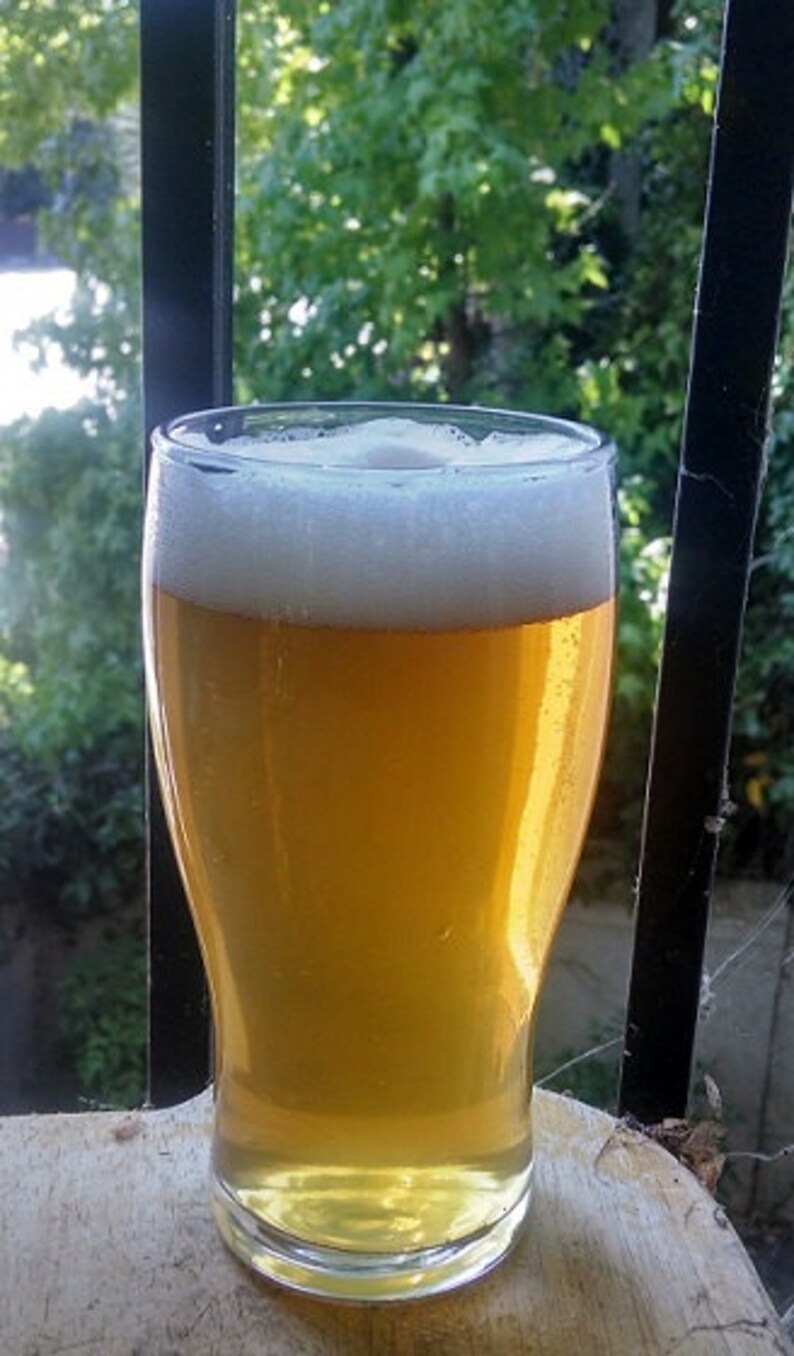 Hefeweizen Beer Recipe 1 Gallon Hop Hero Homebrew Beer Etsy