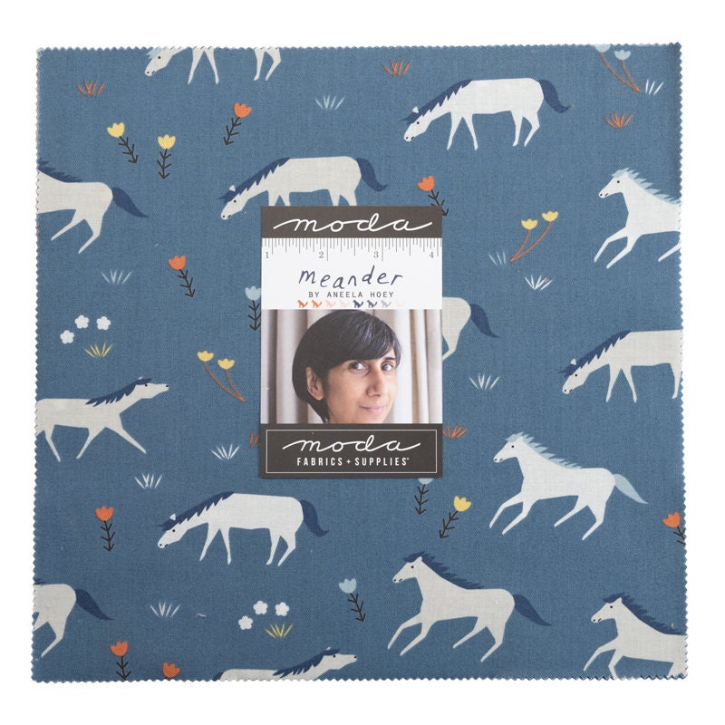 Aneela Hoey Horses - Etsy