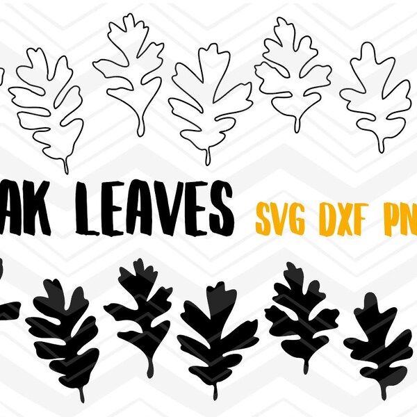 Oak leaves SVG - Fall leaf cut files for cricut - Oak leaf bundle SVG