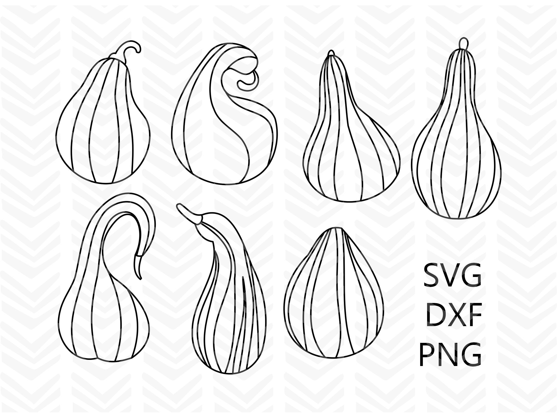 Gourd SVG Bundle Foil Quill Gourds SVG Single Line Squash - Etsy UK