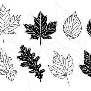 Fall Leaf SVG bundle - Cut file leaves SVG - Doodle Fall Leaves DXF bundle