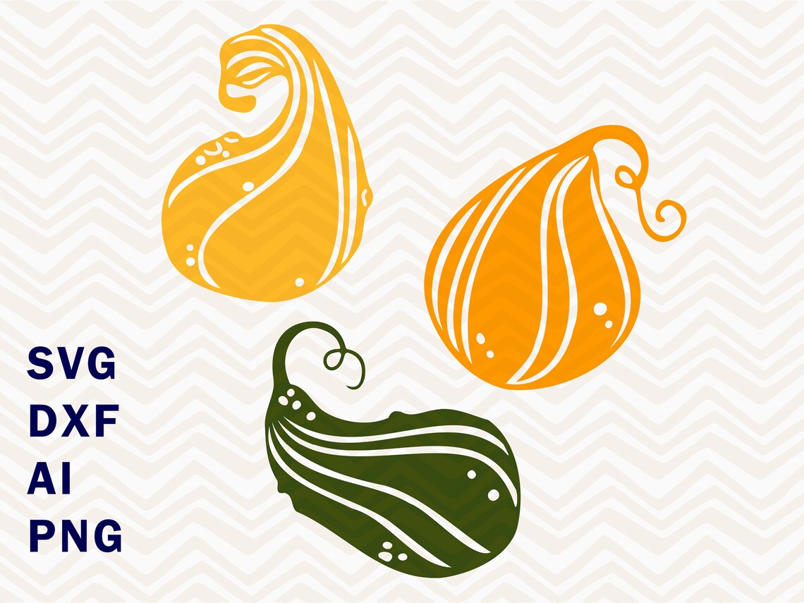 Squashes and Gourds SVG Download Gourd Cut Files for Cricut | Etsy
