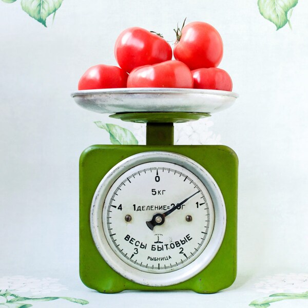 Green Kitchen Scales / Soviet Vintage 5 Kilo Kitchen Table Top Scales with a Bowl Dish, Circa 1970's / USSR Retro