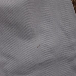 May include: A close-up of a white fabric surface with a small brown stain.