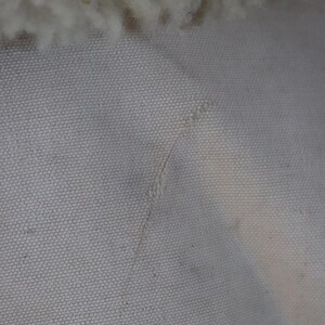 May include: Close-up of a textured, off-white fabric with a visible seam and a fluffy, cream-colored material at the top. The fabric has a subtle, speckled appearance.