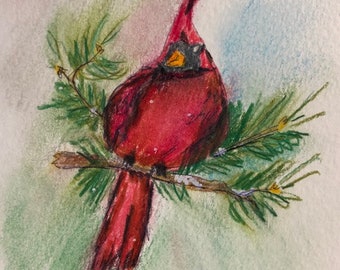 Cardinal rouge de Noël