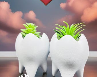 3D Printed Tooth Planter: Dental Office Decor, Dentist Gift