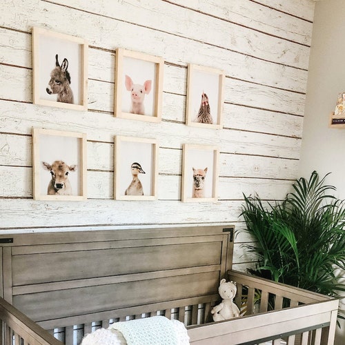 Blue Distressed Barnwood Plank Wood Peel and Stick Wallpaper Etsy