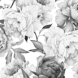 May include: Black and white pencil drawing of peonies. The flowers are in full bloom and have a delicate, layered appearance. The drawing is detailed and realistic, capturing the beauty of the flowers.
