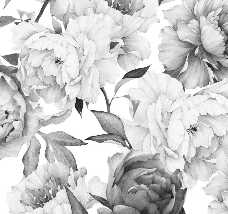 May include: Black and white pencil drawing of peonies. The flowers are in full bloom and have a delicate, layered appearance. The drawing is detailed and realistic, capturing the beauty of the flowers.