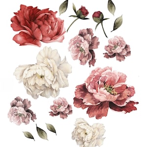 Large Flower Wall Mural | Peel and Stick Wallpaper | Self Adhesive Wall Mural | Removable Wall Paper | Girls Room Decal | Peony Wallpaper image 2