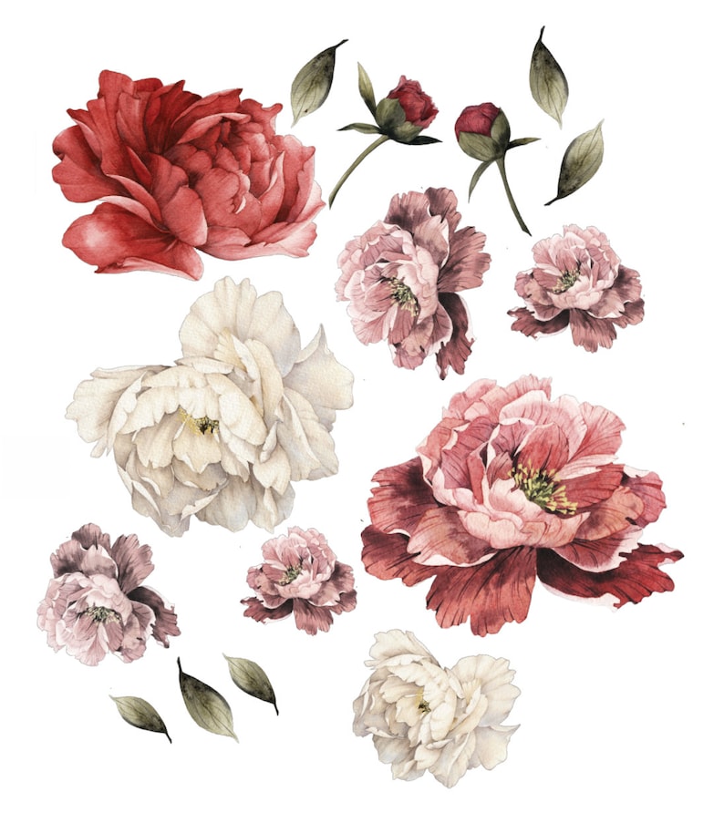 Large Flower Wall Mural | Peel and Stick Wallpaper | Self Adhesive Wall Mural | Removable Wall Paper | Girls Room Decal | Peony Wallpaper image 2