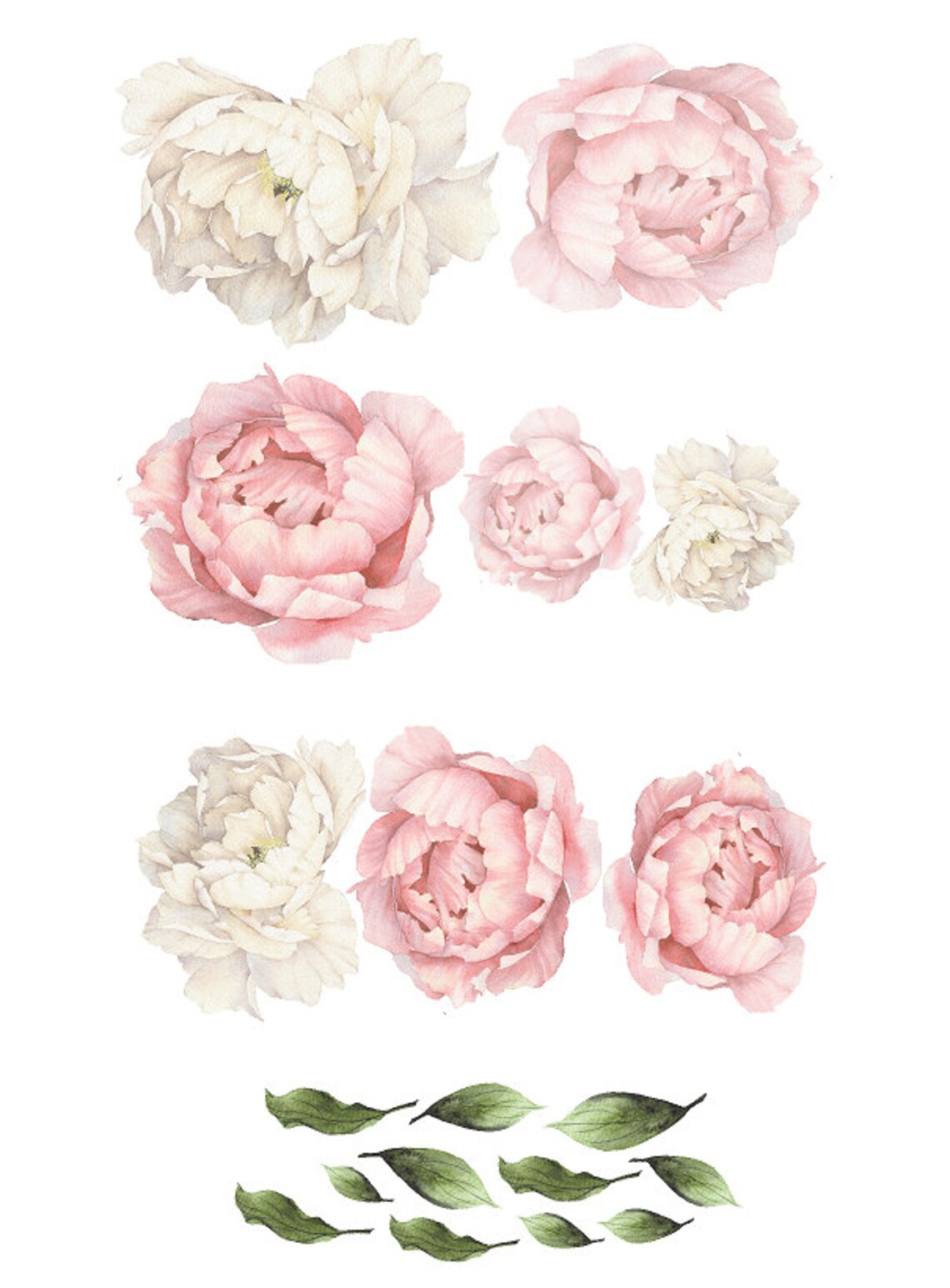 Peony Flower Wall Decals/ Nursery Decals/ Floral Decals/ Etsy