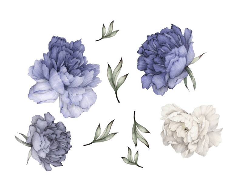 May include: Watercolor illustration of blue and white peonies with green leaves. The flowers are arranged in a cluster and are surrounded by leaves. The flowers are painted in a realistic style and have a soft, delicate look.