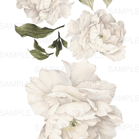 Pivoine blanche Décor de pépinière de bébé fille Fleurs de - Etsy France