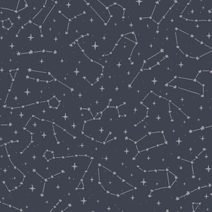 Constellation | Bedroom Wallpaper | Peel and Stick Wallpaper | Stars | Removable Wallpaper | Space Decor | Kids Bedroom | Nusery Decor